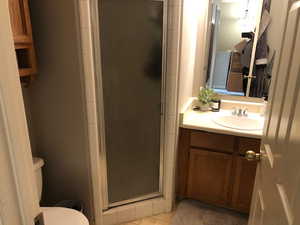 Bathroom featuring toilet, a shower stall, and vanity