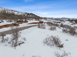 Yard covered in snow with a mountain view