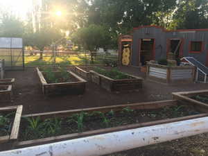 View of yard featuring an outbuilding, a vegetable garden, and a greenhouse