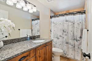 Full bathroom featuring a shower with curtain, visible vents, vanity, and toilet