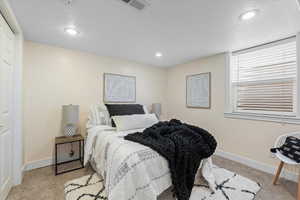 Basement Bedroom #2 with Egress Windows & Large Closets