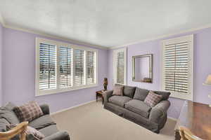 Living area featuring baseboards, carpet, ornamental molding, and a textured ceiling