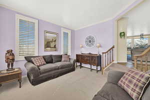 Carpeted living area with baseboards and crown molding