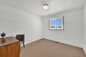 Carpeted office with visible vents, a textured ceiling, and baseboards