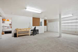 Basement with electric panel, a textured ceiling, and light colored carpet