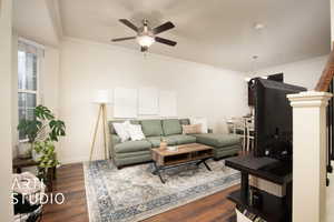 Living area featuring dark wood-style floors, ceiling fan, and crown molding