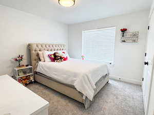 Bedroom with carpet floors and baseboards