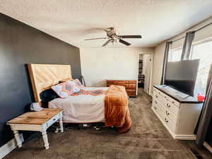 Carpeted bedroom with ceiling fan, a spacious closet, visible vents, and a textured ceiling