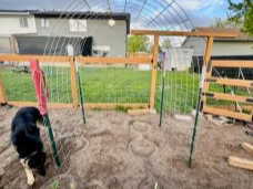 View of jungle gym