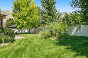 View of yard with a patio area, a fenced backyard, and a mountain view