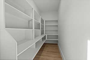 View of walk-in pantry