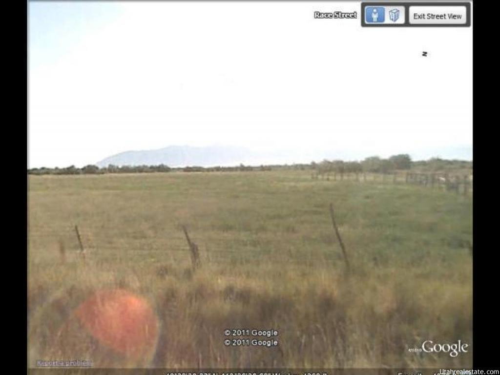 View of local wilderness with a rural view