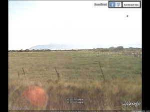 View of local wilderness with a rural view