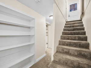 Stairs with carpet floors and baseboards