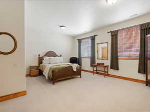 Bedroom with baseboards, visible vents, and light colored carpet