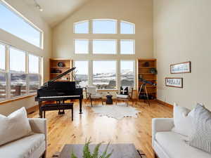 Sitting room featuring track lighting, wood-type flooring, plenty of natural light, and baseboards