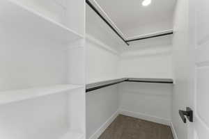 Primary Bedroom Walk-in Closet