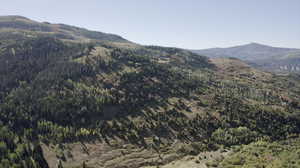 View of mountain feature with a forest view