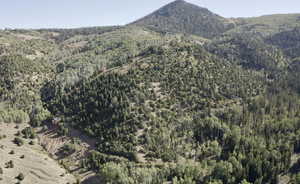 View of mountain feature featuring a forest view