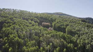 Property view of mountains with a view of trees