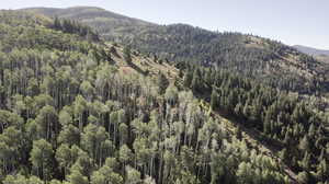 Mountain view with a view of trees