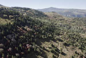 Property view of mountains featuring a wooded view