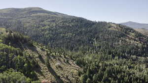 Mountain view with a wooded view