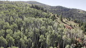 Property view of mountains featuring a forest view