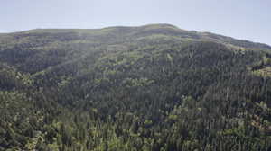 View of mountain feature with a wooded view