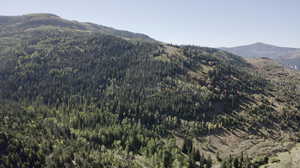 Property view of mountains with a forest view