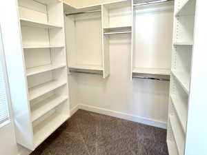 Spacious closet with dark colored carpet