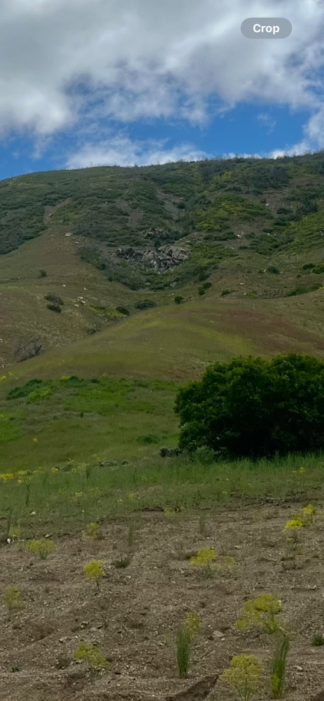 View of nature
