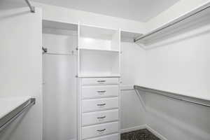 Spacious closet with carpet floors