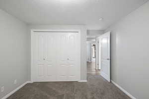 Unfurnished bedroom with carpet floors, a textured ceiling, and a closet