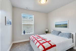 Bedroom featuring a textured ceiling, carpet floors, visible vents, and baseboards