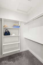 Spacious closet with carpet, attic access, and visible vents