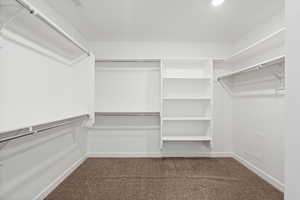 Spacious closet featuring carpet