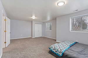 Bedroom with baseboards, visible vents, carpet flooring, and multiple windows