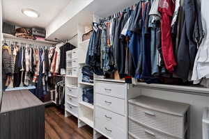 Spacious closet featuring dark wood-type flooring