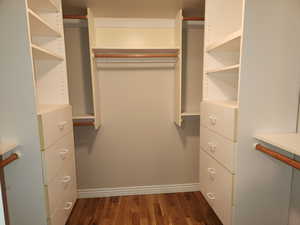 Walk in closet with dark wood finished floors