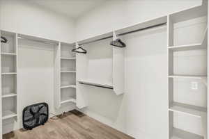 Spacious closet featuring wood finished floors