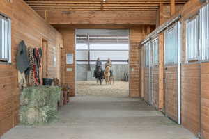 View of horse barn