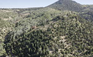 Mountain view featuring a view of trees