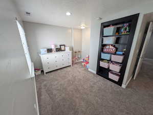 Photo 46 of 1143 N MUSTANG LN