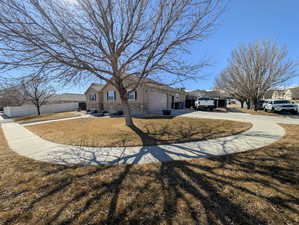 Photo 3 of 1143 N MUSTANG LN