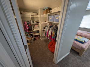Photo 47 of 1143 N MUSTANG LN