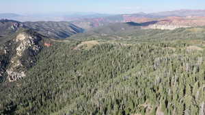 Property view of mountains with a forest view