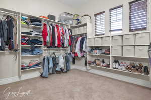 Spacious closet featuring carpet flooring