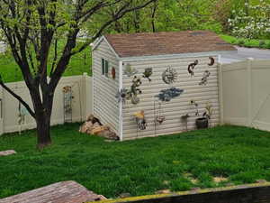 Shed and backyard in the summertime