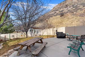 View of patio with outdoor dining space, a fenced backyard, an outdoor structure, and a shed